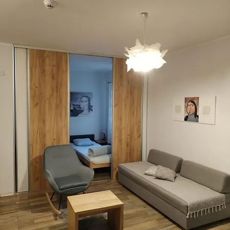 Centar Novi Sad-apartman No 1 Apartment *