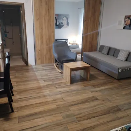 Centar Novi Sad-apartman No 1 Novi Sad