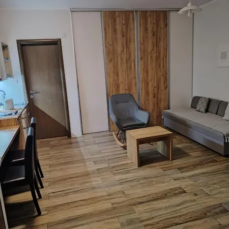 Apartment Centar Novi Sad-apartman No 1