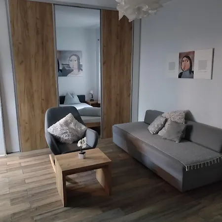 Apartment Centar Novi Sad-apartman No 1 *