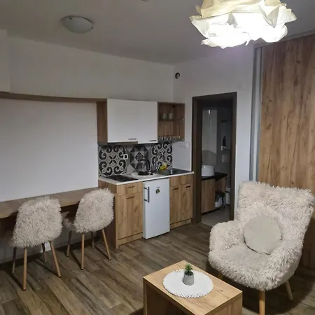 Appartement Centar Novi Sad-apartman No 1 Parking On Request Novi Sad