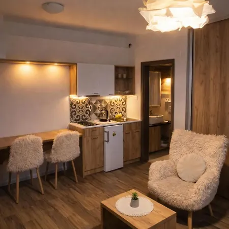 Centar Novi Sad-apartman No 1 Parking On Request شقة نوفي ساد