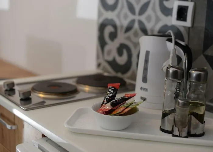 شقة Centar Novi Sad-apartman No 1 Parking On Request *